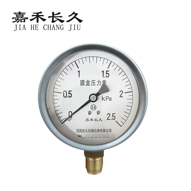 嘉禾长久 膜盒压力表检测型 YE100 块高清大图