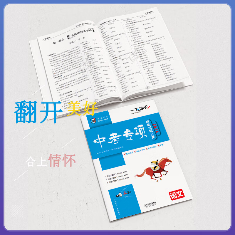 中考专项[语文+数学+英语] 初中通用 [正版]科目自选一飞冲天 中考专项 中考语文数学英语物理化学政治历史地理天津初中高清大图
