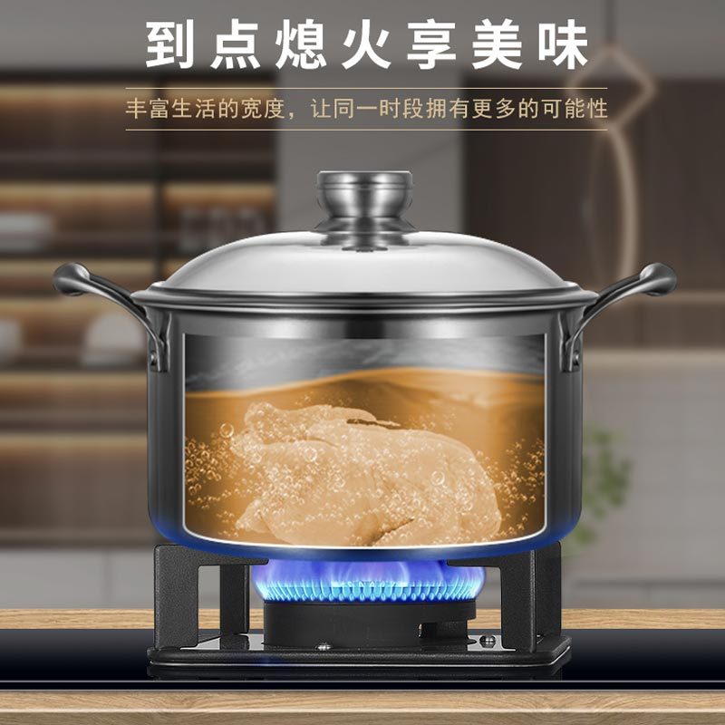星牌厨电(GASTAR)全新0-180min宽域定时 5.0KW熄火保护台嵌两用灶具JZT-ZB17D天然气
