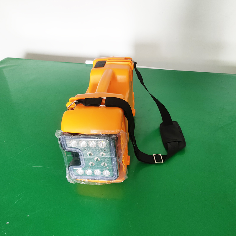 盛王盛荣 LED 轻便移动灯高清大图