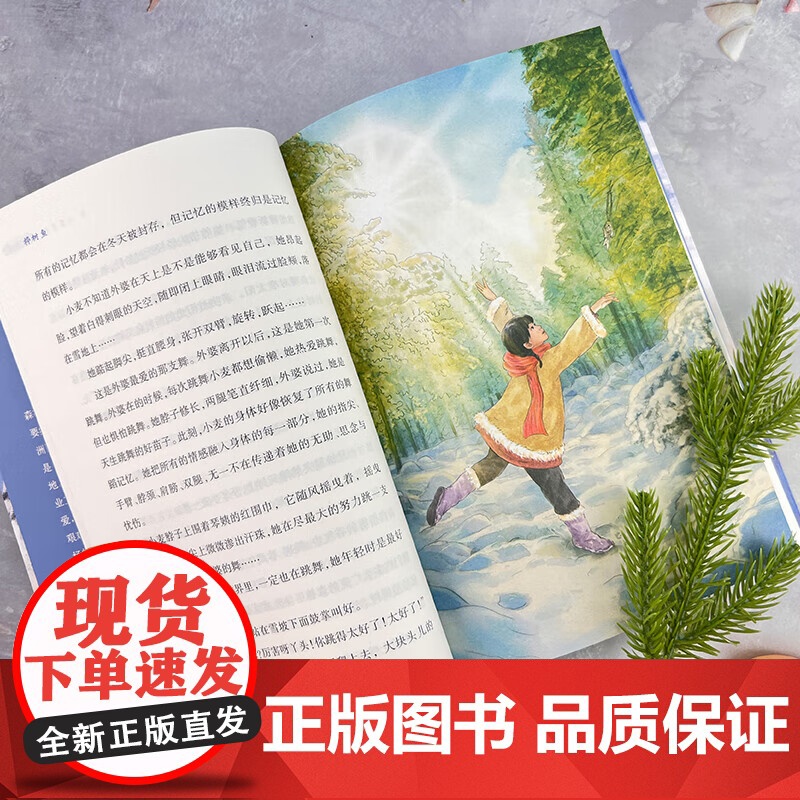桦树鱼 百班千人三年级阅读书目儿童文学成长励志小说自然故事书必小学生三年级课外书阅读书目高清大图