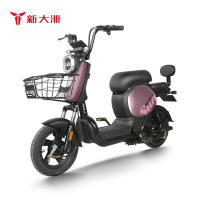 新大洲PALLA电动车 新国标48V24ah锂电池成人电瓶车代步车电动自行车长续航 K9幻影粉