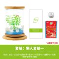 鱼缸创意桌面小型透明玻璃斗鱼缸迷你精致懒人造景家用生态瓶_1 默认尺寸 懒人套餐1