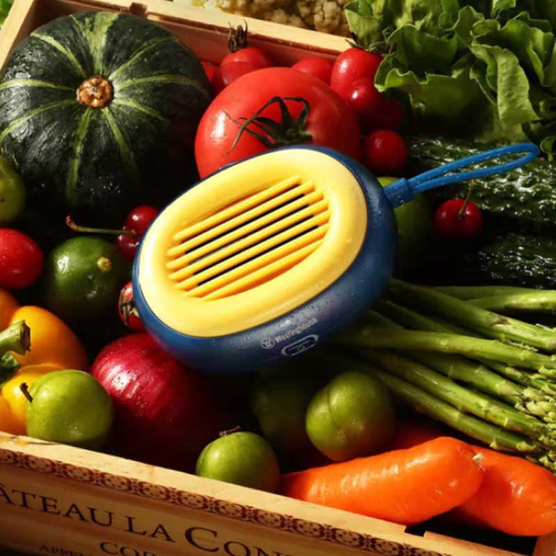 西屋 果蔬清洗机 WGS31