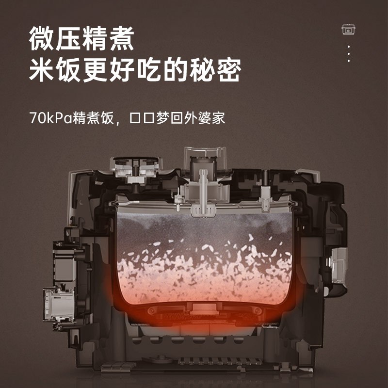 法迪欧(Fardior)无极多功能料理锅低温料理压力可调FPC-30AT高清大图