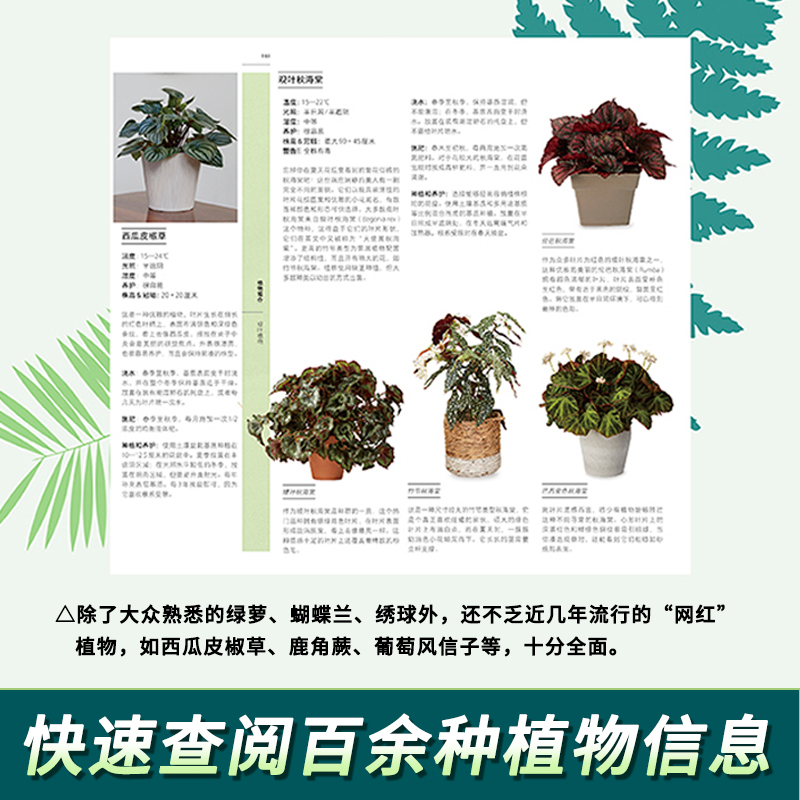 [正版]DK英国皇家园艺学会 家居植物实用百科 家庭园艺实用宝典 在屋内实现花园梦 家庭园艺一本通 养护技能陈设技巧植物高清大图