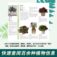 [正版]DK英国皇家园艺学会 家居植物实用百科 家庭园艺实用宝典 在屋内实现花园梦 家庭园艺一本通 养护技能陈设技巧植物