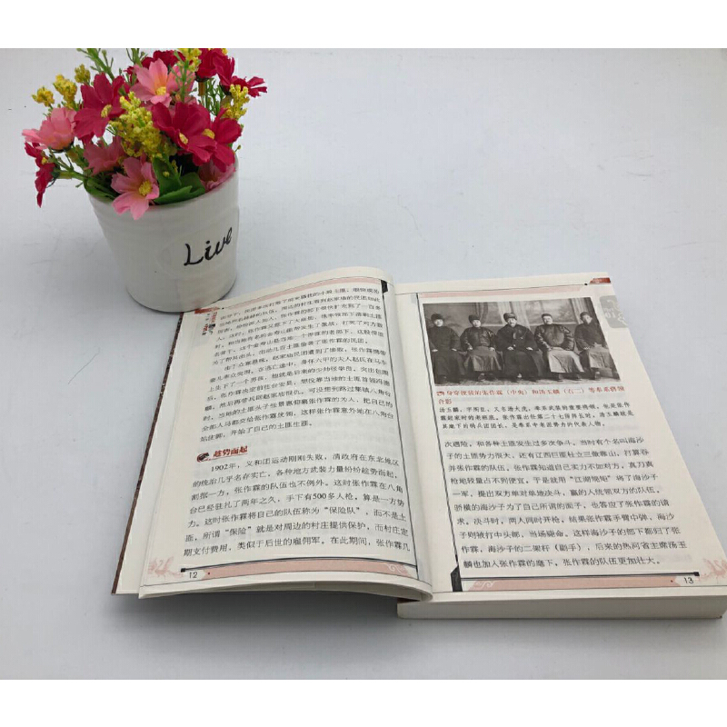 [正版] 民国往事 中国近现代民国历史人物传记书籍张作霖吴佩孚杨度徐志摩朱自清张爱玲梅兰芳传记从晚清到民国高清大图