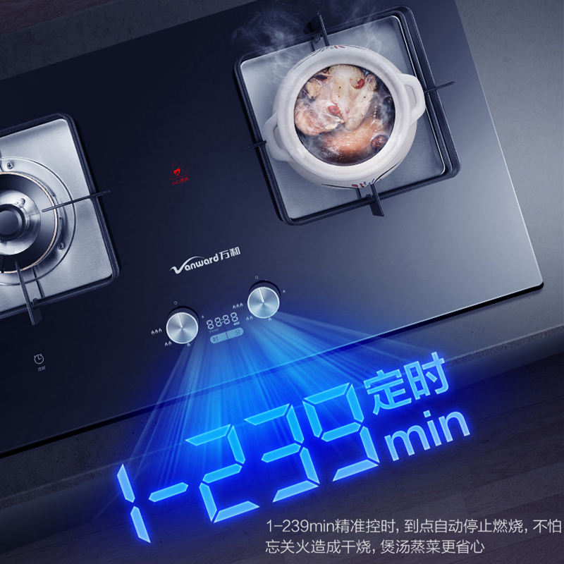 万和 （vanward）燃气灶 5.0kw灶煤气炉