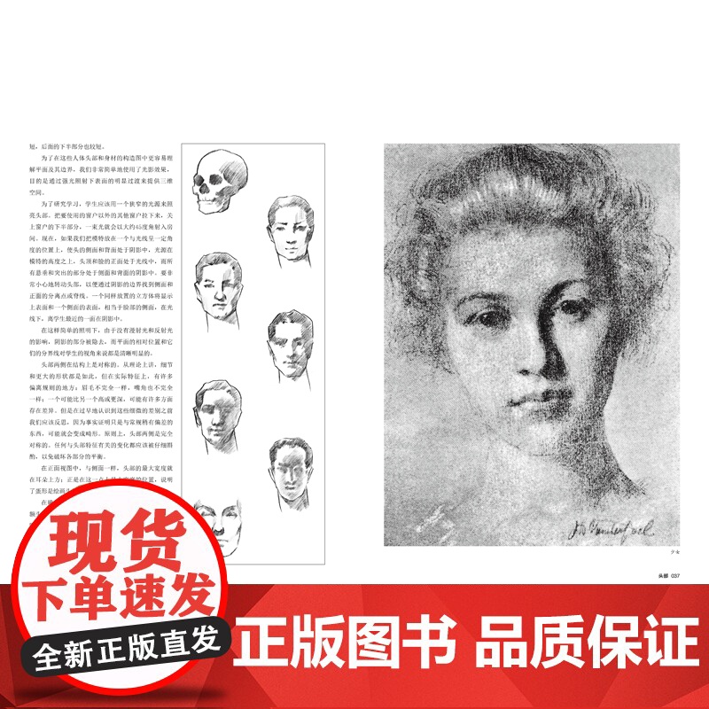人体结构素描 高等艺术院校美术基础系列 根据范德普尔的素描改编 人体素描绘画教学研究人体结构和学习素描审美的良好范本高清大图