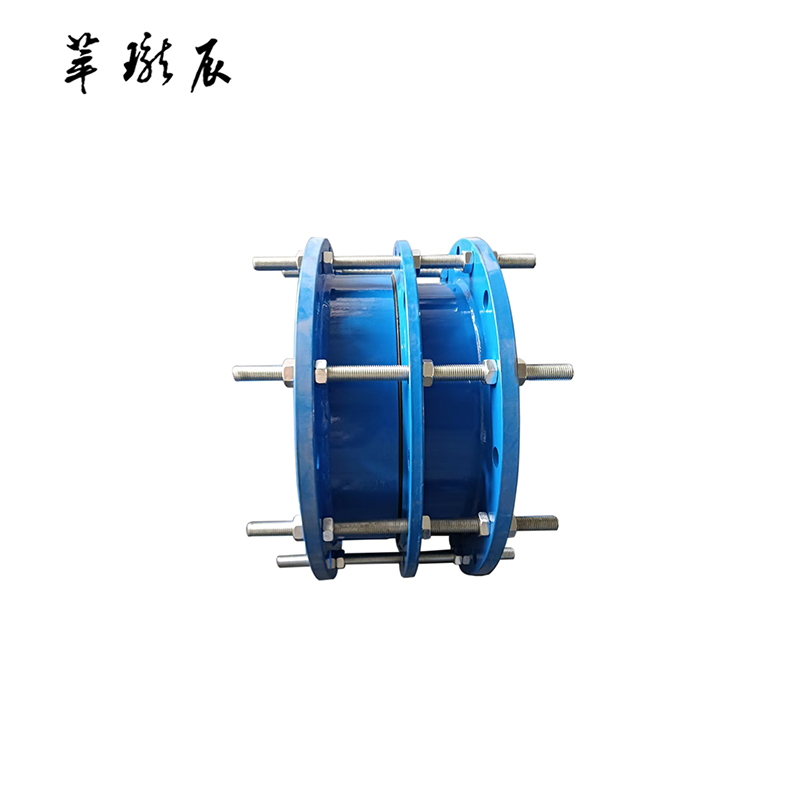 萃珑辰 双法兰伸缩节 DN300 个高清大图