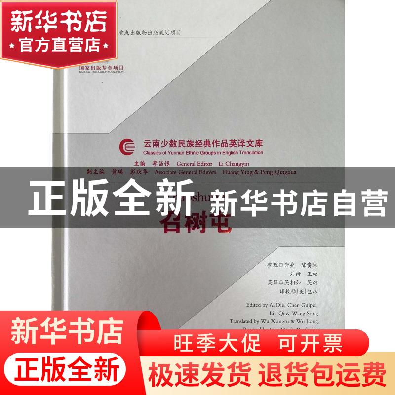 正版 召树屯 岩叠,陈贵培,刘绮,王松 整理 云南人民出版社 97高清大图