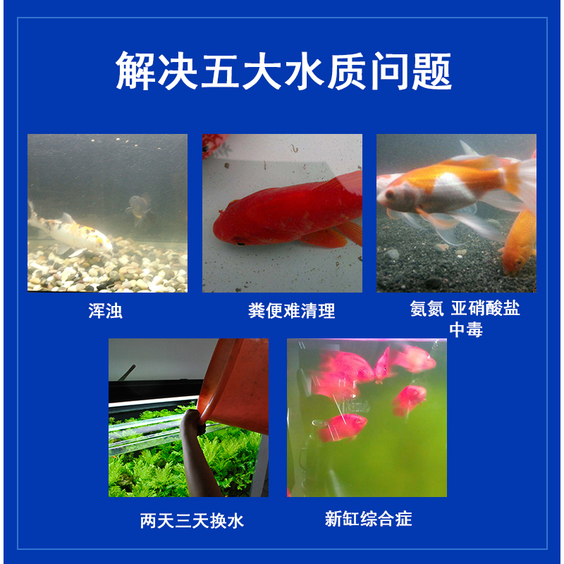 硝化细菌 鱼缸硝化菌水族硝化活菌 液态高浓度硝化菌种直接存活高清大图