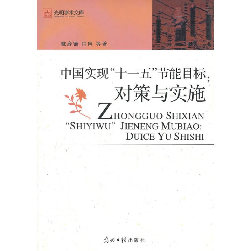 正版新书】中国实现“十一五”节能目标:对策与实施戴彦德978751