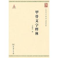 ADY【正版现货】甲骨文字释林 于省吾 商务印书馆