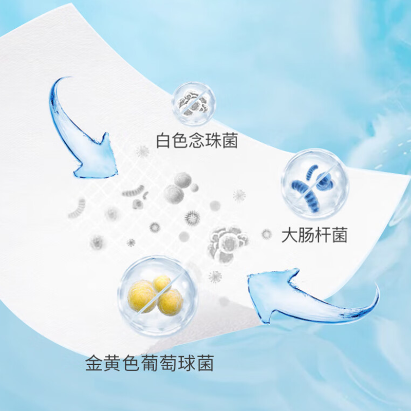 荑飘 湿厕纸可冲马桶家庭装厕所卫生湿巾可擦除细菌洁厕纸 10片*10包高清大图