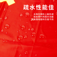 得力(deli)4221旗帜/红领巾 涤纶面料加厚款1号党旗 288*192cm 红色