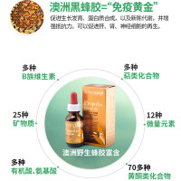 [3支装]澳洲Spring leaf 绿芙黑蜂胶滴剂 25ml 缓解咽喉肿痛 改善感冒症状 增强免yi力