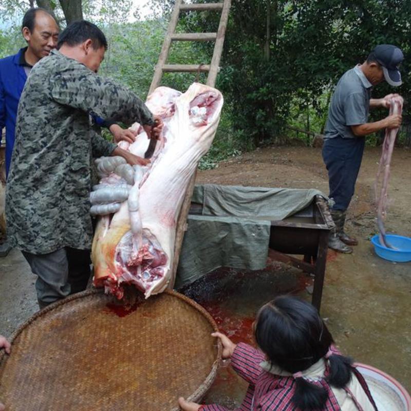 农村土猪肉排骨 新鲜现杀排骨肋排黑土猪农家散养生鲜汤排骨 生鲜猪排骨1000g