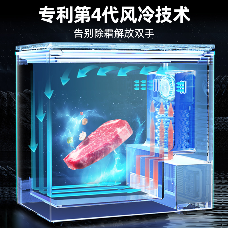 星星(XINGX)家用商用大容量风冷无霜一级能效节能冰柜单温冷藏冷冻转换柜超市便利店雪糕柜BD/BC-170WKE