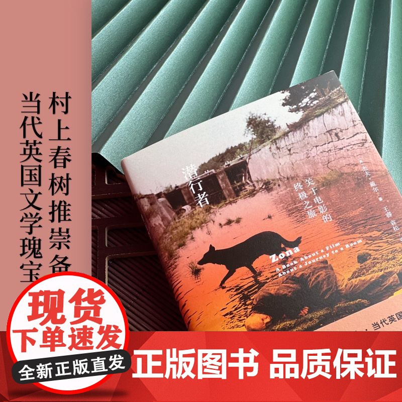 潜行者:关于电影的之旅(杰夫·戴尔作品系列)高清大图