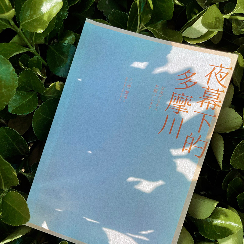 醉染图书夜幕下的多摩川9787559465436高清大图
