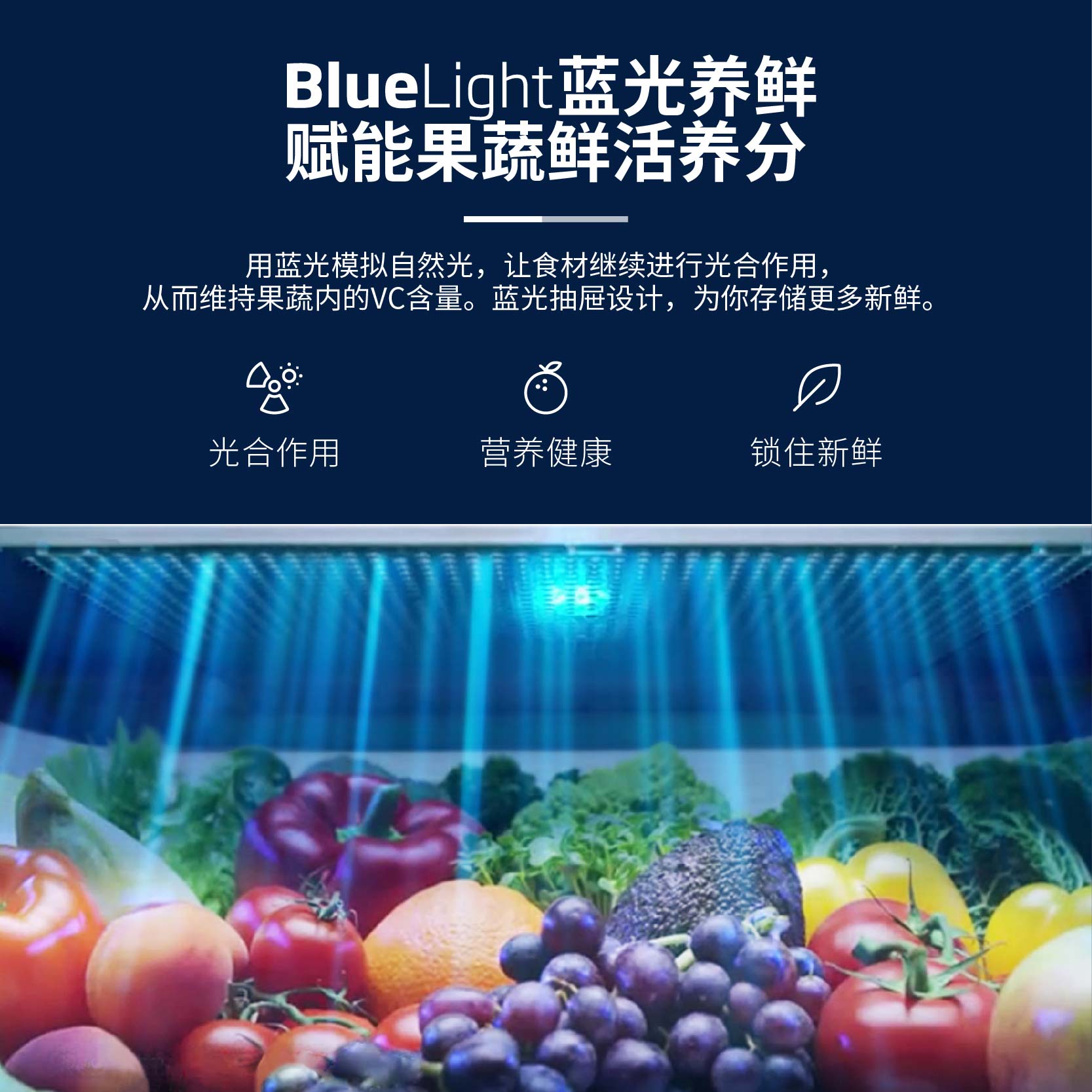 倍科(beko)610L对开门冰箱 欧洲进口 蓝光养鲜 风冷无霜 GN0610SL高清大图