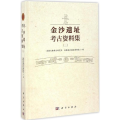 金沙遗址考古资料集