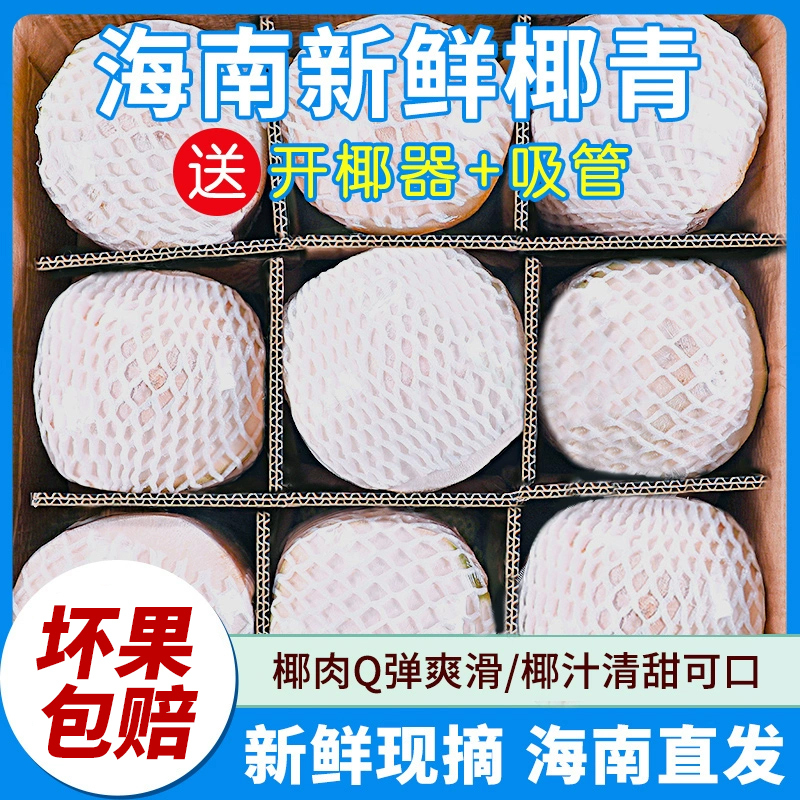 冠町 海南椰青9个装(单果1000g)送开椰器吸管 奶香椰子新鲜水果生鲜