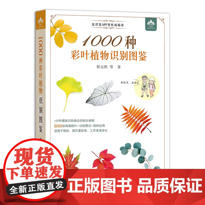 1000种彩叶植物识别图鉴(彩图典藏版) 298859 侯元凯,王炜炜, 周桃龙,贾孝利,张根伍,李国红,王钊奇, 周娟