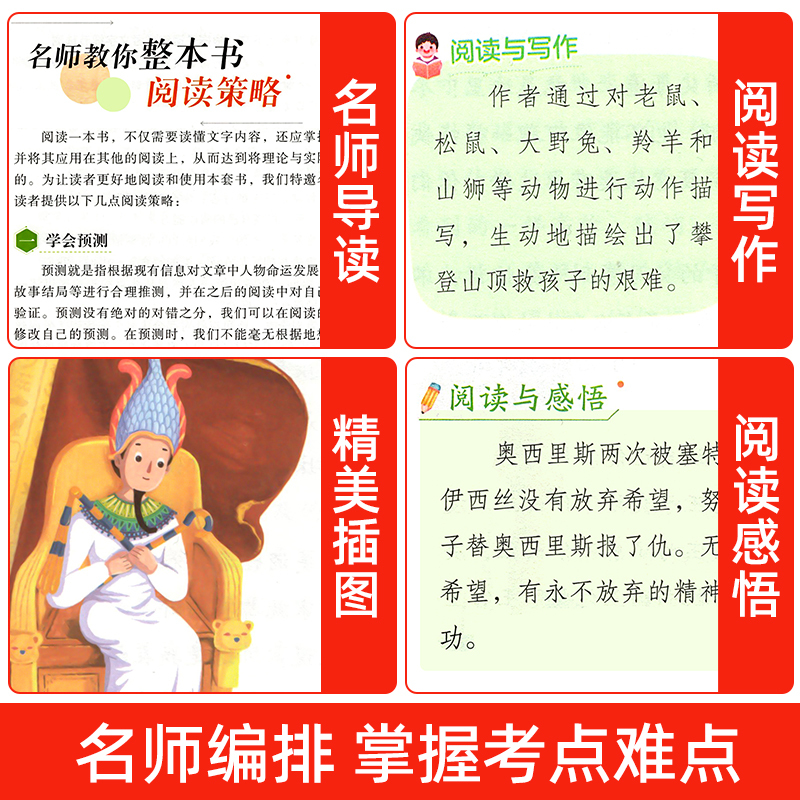 [全2册 送考点]希腊神话+世界神话 [正版]世界经典神话与传说故事四年级上册必读课外书书目老师快乐读书吧4上适合小学生