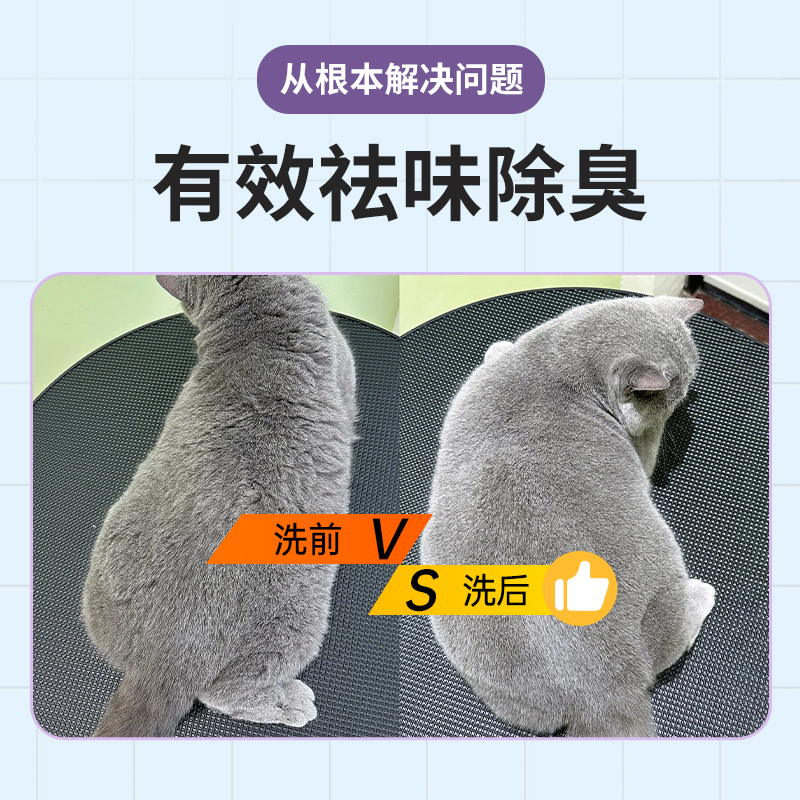 HWKW短毛猫咪专用沐浴露抑菌除螨除臭500ml英短橘猫宠物洗澡香波高清大图