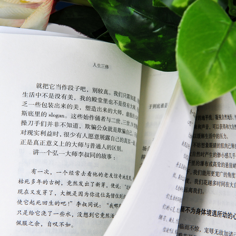 [正版]樊登全6册 次第花开 人生三境 弘一法师李叔同修心修性修行人生智慧哲学透过佛法看世界 励志成功心灵修养书籍高清大图