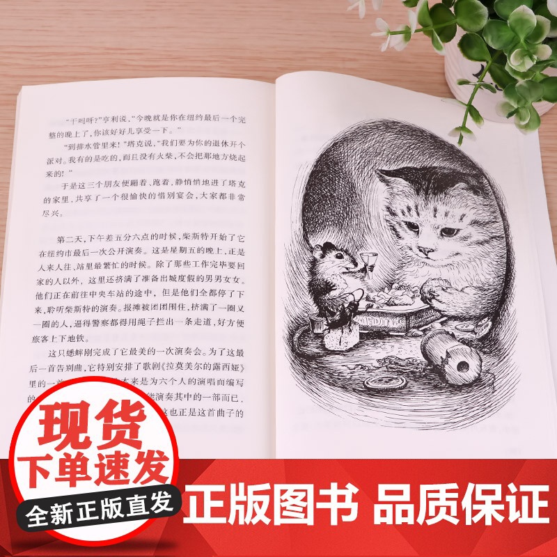 正版童书 时代广场的蟋蟀 麦克米伦世纪大奖小说升级版 不老泉文库 6-7-9-10岁小学生儿童文学一二三四年级课外阅读书高清大图
