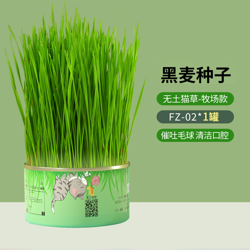 卷尾巴 森森植美无土猫草猫草种子懒人猫草片猫咪零食猫草罐头猫零食水培种植猫咪用品苏宁宜品 黑麦种子 两罐装