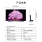 LG OLED55C1PCB 智能平板电视机 超薄4K超高清全面屏教育120HZ家用电竞游戏 电竞游戏显示
