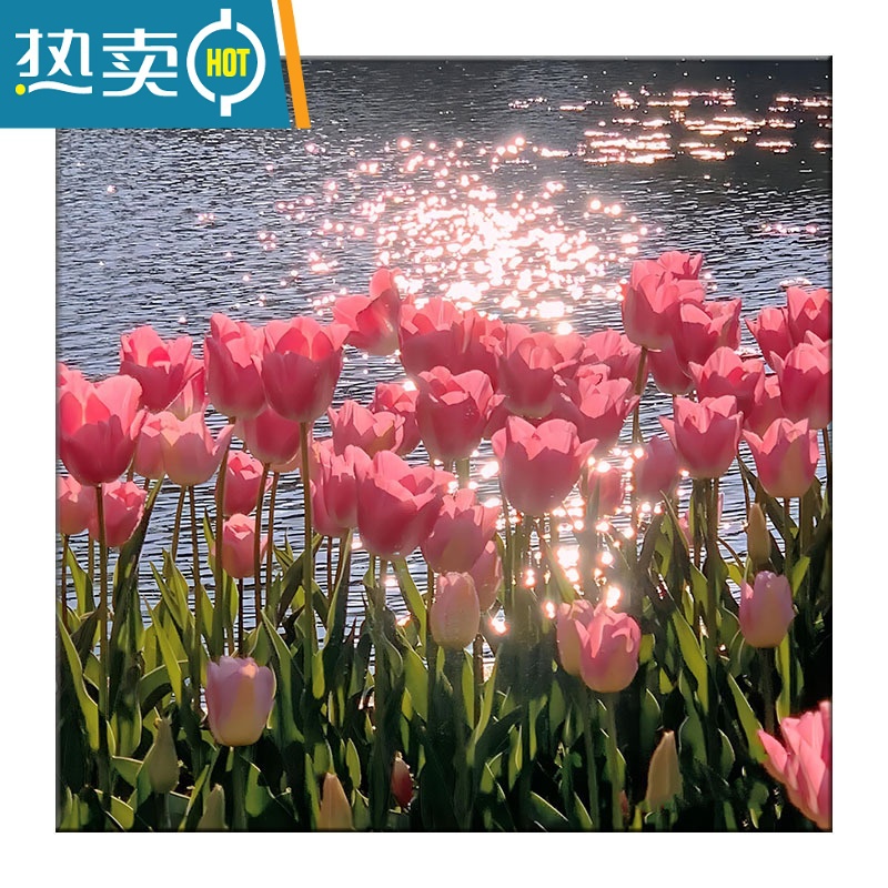敬平郁金香diy填充手工绘植物花卉装饰画减压填涂色油彩挂画装饰画高清大图