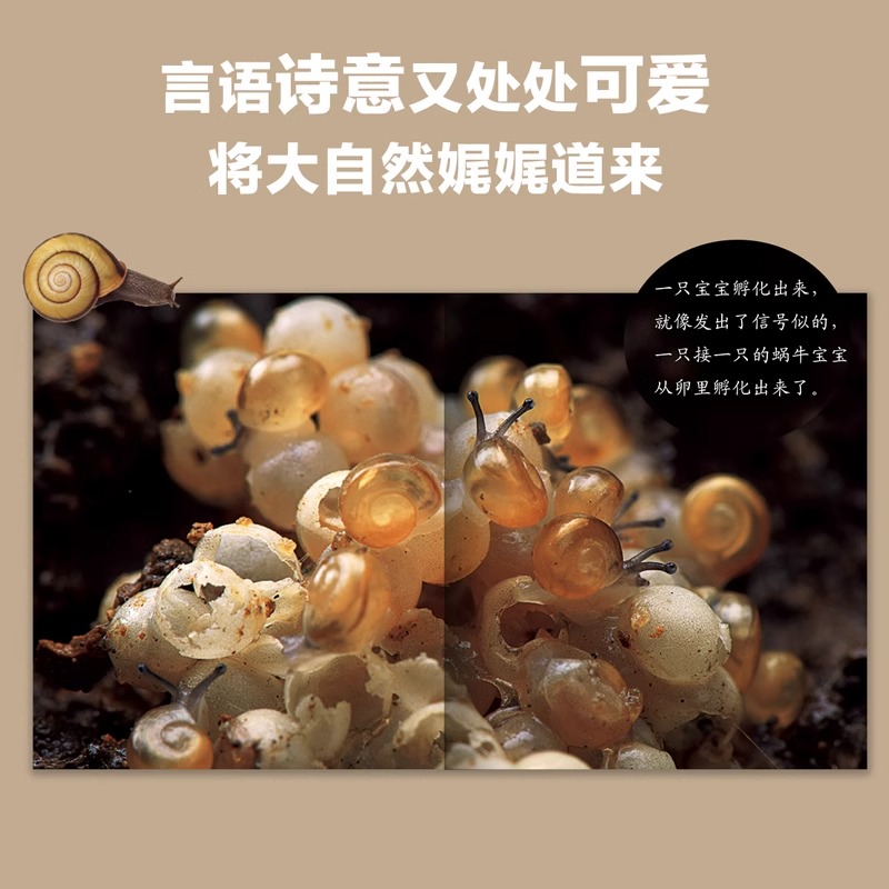 [⭐️⭐️44册礼盒赠音频]1-4辑+番外篇(最新版共44册) [正版]全套44册生命的故事绘本0到3岁-4-5-6高清大图