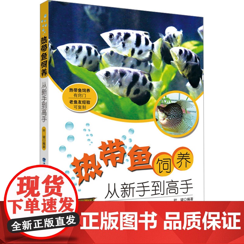 热带鱼饲养:从新手到高手 叶键 编 都市手工艺书籍生活 正版图书籍 福建科学技术出版社高清大图