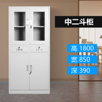 湘渭钢制文件柜档案柜财务凭证柜带锁储物柜铁皮柜书柜中二斗文件柜