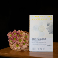 [正版]书籍献给阿尔吉侬的花束 新版 丹尼尔·凯斯著 囊括世界科幻小说两项大奖星云奖/雨果奖 感动无数读者 人性关怀杰