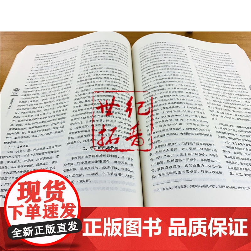 正版 藏族文化通论 藏族文化理论 藏族行为文化精神文化制度文化物质文化 民族符号制度手工业 罗桑开珠 中国藏学出版社高清大图