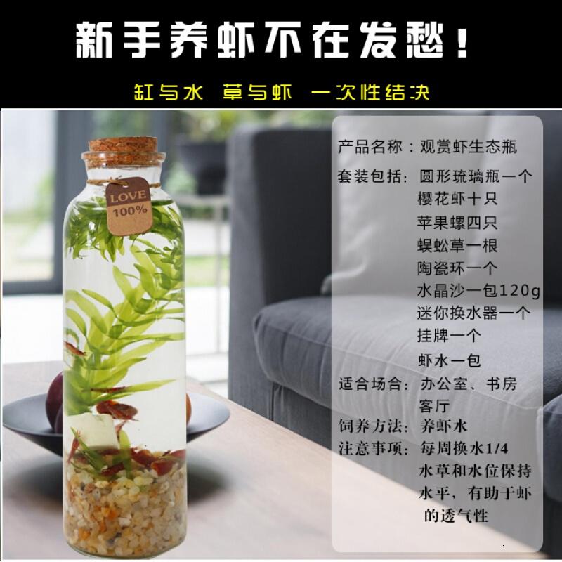 Icepad宠物日用水族观赏鱼微景观办公室桌面生态瓶创意鱼缸斑马鱼缸斗鱼缸观赏虾 价格图片品牌报价 苏宁易购欣富生活日用专营店
