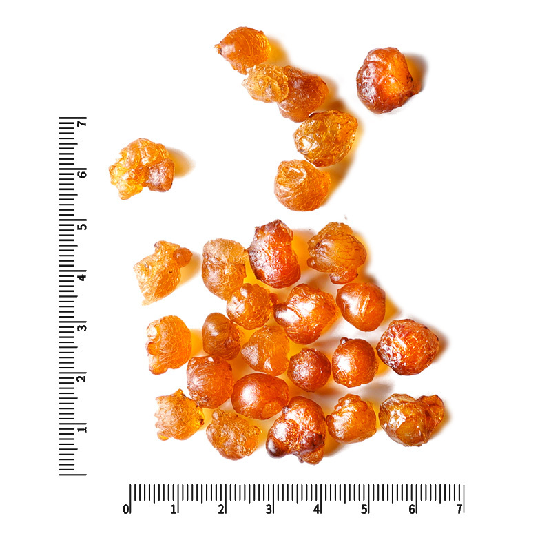 青源堂 桃胶 中颗粒精选桃花泪500克