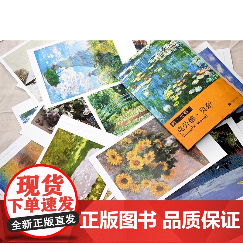 画大师 装饰篇 油画临摹素材教材绘画作品集画集画册梵高莫奈塞尚雷东艺术绘画高清原版大师作品临摹装饰图册大师美术欣赏绘画教高清大图