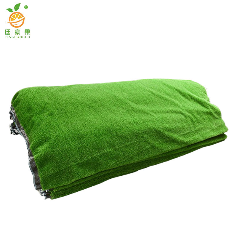 廷豪果 草坪 成品草坪 /平方米高清大图