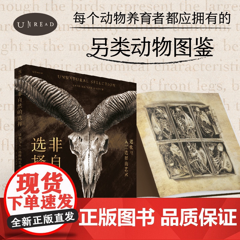 [套装]羽下之鸟+非自然的选择:艺术与科学完美结合,进化与人工选择的艺术,鸟类骨骼解剖图鉴 。高清大图