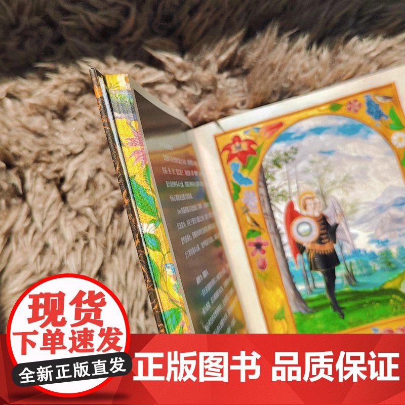[特装版]日之光芒:世上最著名的炼金术抄本(书口喷绘) 甲骨文丛书 李岩 译 社会科学文献出版社高清大图