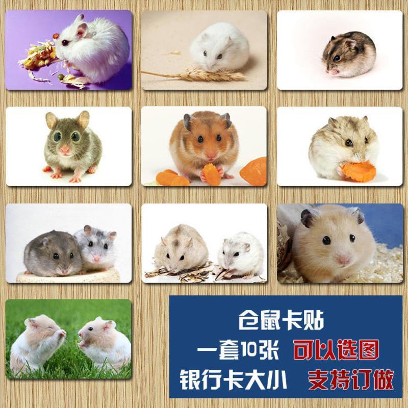 仓鼠卡贴可爱卡通动漫小仓鼠周边水晶磨砂饭卡贴公交卡贴八达通 仓鼠卡贴01款
