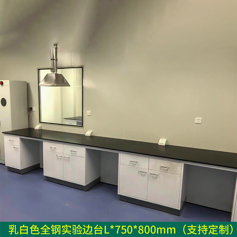 汉诺鑫威全钢实验台钢木PP边台柜试验台化验室工作台实验室桌操作台定制(每米单价)【工厂现做 7天内发货】 乳白色全钢实验边台L*750*800mm